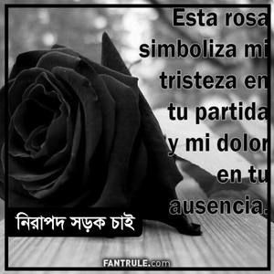 Meet your Posher, Nelsi